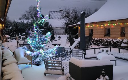 upload/image/492/b4b483e3-dfb8-43c7-a9.JPG