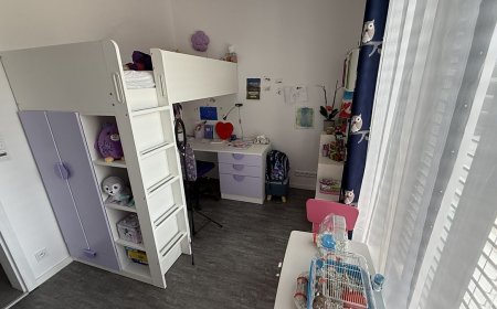 upload/image/542/008c.jpg