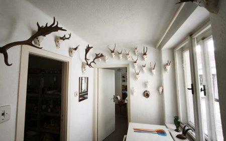 upload/image/543/6-1.jpeg